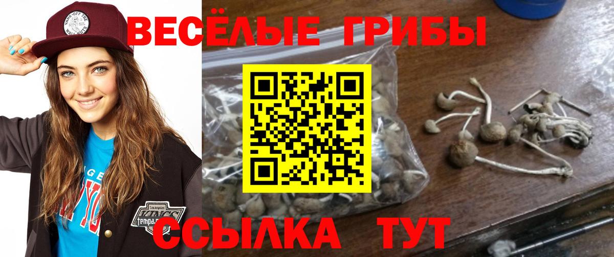 Галлюциногенные грибы GOLDEN TEACHER Балашиха