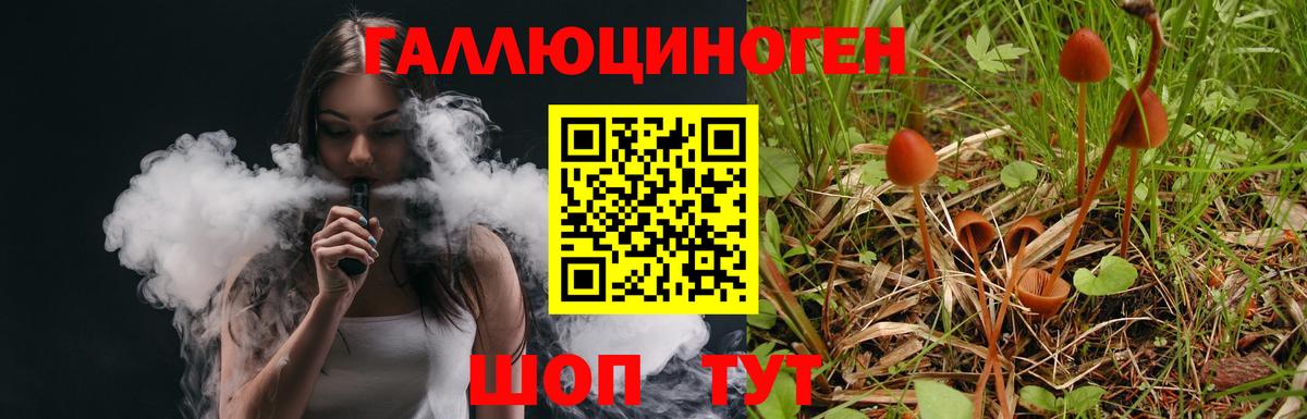 Балашиха  Галлюциногенные грибы мицелий  Вход с VPN 